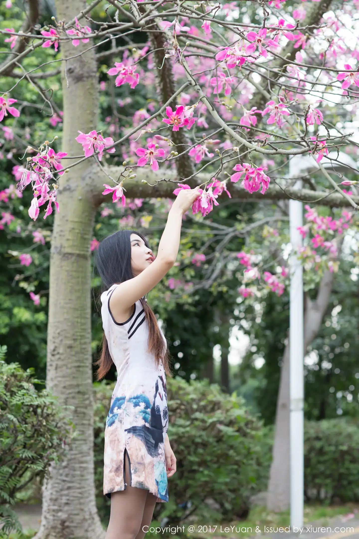 Winki丝女郎旗袍国韵写真1